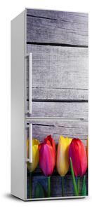 Foto nálepka na ledničku Barevné tulipány FridgeStick-70x190-f-103218042