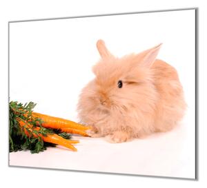 Ochranná deska domácí králíček s mrkví - 50x70cm / S lepením na zeď