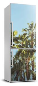 Nálepka na ledničku Příroda palmy FridgeStick-70x190-f-103314952