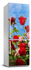 Foto nálepka na ledničku stěnu Divoká růže FridgeStick-70x190-f-104021490
