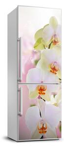 Nálepka fototapeta lednička Bílá orchidej FridgeStick-70x190-f-103974386
