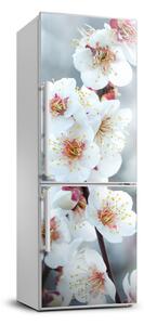 Samolepící nálepka na ledničku Květy višně FridgeStick-70x190-f-104952401