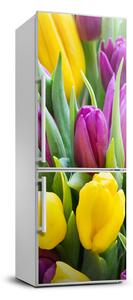 Foto nálepka na ledničku Barevné tulipány FridgeStick-70x190-f-106061917