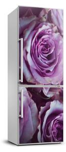 Nálepka fototapeta lednička Fialové růže FridgeStick-70x190-f-106010688