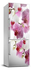 Nálepka fototapeta na ledničku Orchidej FridgeStick-70x190-f-107506962