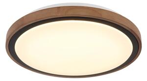 Globo 41764-18 - LED Stropní svítidlo BRUNO LED/18W/230V 3000/4000/6000K