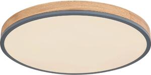 Globo 416080WD4R-CCT - LED Stmív. stropní DORO LED/40W/230V 2700-6500K + DO