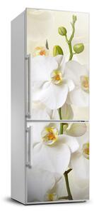 Nálepka fototapeta na ledničku Orchidej FridgeStick-70x190-f-123330197