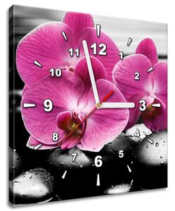 Obraz s hodinami Krásná orchidej mezi kameny Rozměry: 100 x 40 cm