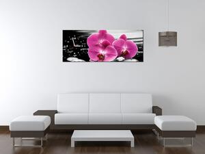 Obraz s hodinami Krásná orchidej mezi kameny Rozměry: 100 x 40 cm
