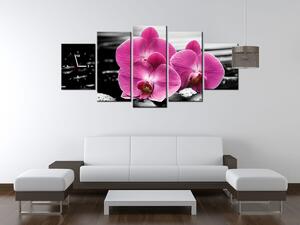 Obraz s hodinami Krásná orchidej mezi kameny - 5 dílný Rozměry: 150 x 105 cm
