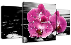Obraz s hodinami Krásná orchidej mezi kameny - 3 dílný Rozměry: 80 x 40 cm