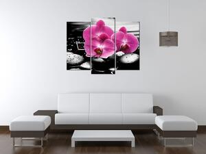 Obraz s hodinami Krásná orchidej mezi kameny - 3 dílný Rozměry: 90 x 70 cm