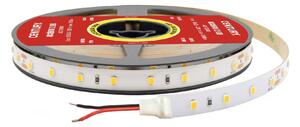 CEN AC2-722430 LED pásek ACCENTO cívka 5m 7,2W 30LED/m 36W 3000K 2100Lm 120d IP20 24VDC - CENTURY