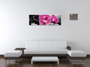 Obraz s hodinami Krásná orchidej mezi kameny - 3 dílný Rozměry: 90 x 30 cm
