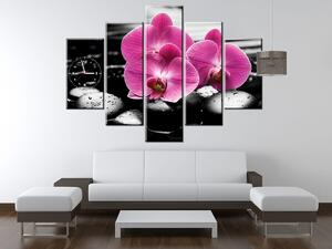Obraz s hodinami Krásná orchidej mezi kameny - 5 dílný Rozměry: 150 x 70 cm