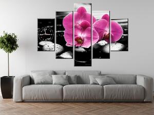 Obraz s hodinami Krásná orchidej mezi kameny - 5 dílný Rozměry: 150 x 105 cm
