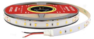 CEN AC2BL-182430 LED pásek ACCENTO cívka 1m 1.8W/m 1,8W 3000K 120Lm 120d IP20 230VAC - CENTURY