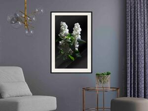 Artgeist White Lilac Velikosti (šířkaxvýška): 20x30, Finální vzhled: Černý rám s paspartou