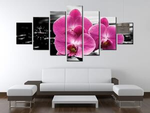Obraz s hodinami Krásná orchidej mezi kameny - 7 dílný Rozměry: 210 x 100 cm
