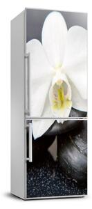 Nálepka fototapeta na ledničku Orchidej FridgeStick-70x190-f-143014442