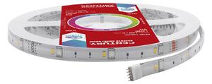 CEN ACRSMA-484800 LED pásek ACCENTO SMART cívka 5m 4.8W/m 24W RGBW 4000K 1650Lm 120d IP20 220-240V/AC Tuya WiFi - CENTURY