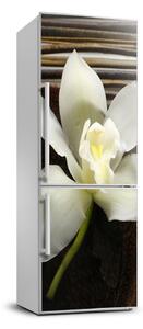 Fototapeta nálepka na ledničku Orchidej FridgeStick-70x190-f-14760003