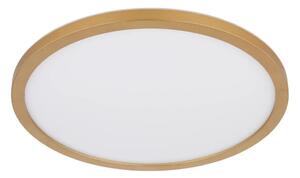 Globo 41562-24MM -LED Stm. koupel. strop. svítidlo SAPANA LED/24W/230V IP44
