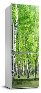 Nálepka na ledničku samolepící Břízový les FridgeStick-70x190-f-155145245