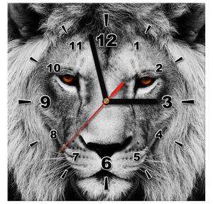 Obraz s hodinami Lví pohled Rozměry: 30 x 30 cm