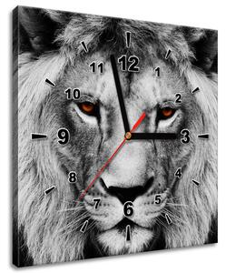 Obraz s hodinami Lví pohled Rozměry: 100 x 40 cm