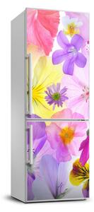 Foto tapeta na ledničku Barevné květiny FridgeStick-70x190-f-161285503
