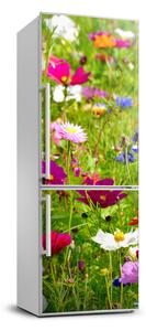 Foto tapeta na ledničku Polní květiny FridgeStick-70x190-f-169402975