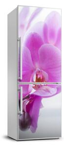 Foto tapeta na ledničku Růžová orchidej FridgeStick-70x190-f-178713472