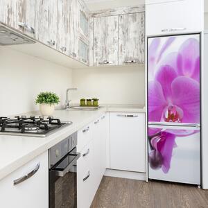Foto tapeta na ledničku Růžová orchidej FridgeStick-70x190-f-178713472