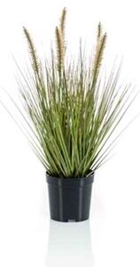 Umělá tráva Pennisetum, výška 45 cm v květináči - 31 - 50 cm