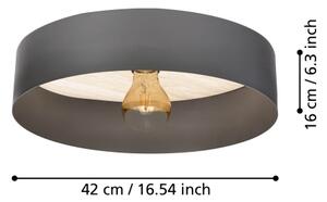 Eglo 901745 - Stropní svítidlo DUAIA 1xE27/40W/230V šedá