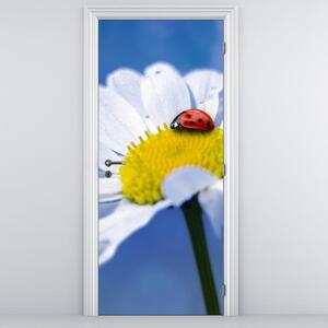 Fototapeta na dveře - Beruška na kopretině (95x205cm)