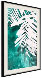 Artgeist White Palm on Teal Background Velikosti (šířkaxvýška): 20x30, Finální vzhled: Černý rám s paspartou