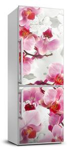 Foto tapeta na ledničku Růžová orchidej FridgeStick-70x190-f-44684614