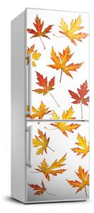 Foto tapeta na ledničku Podzimní listí FridgeStick-70x190-f-45893425