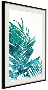 Artgeist Teal Palm on White Background Velikosti (šířkaxvýška): 20x30, Finální vzhled: Černý rám s paspartou