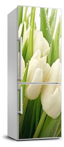 Nálepka fototapeta Bílé tulipány FridgeStick-70x190-f-49549577