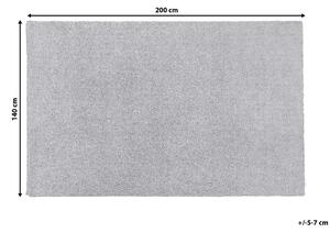 Světle šedý koberec 140x200 cm DEMRE