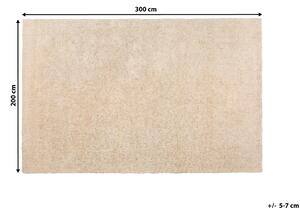 Světlý béžový koberec 200x300 cm DEMRE