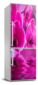 Nálepka fototapeta Růžová orchidej FridgeStick-70x190-f-58002130