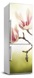 Nálepka fototapeta Květiny magnolie FridgeStick-70x190-f-64406136