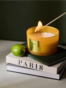 Sinsay - Vonná svíčka Sugared Citrus - žlutá