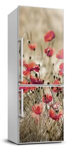 Samolepící nálepka fototapeta Polní květiny FridgeStick-70x190-f-66291805