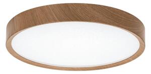 Aigostar - LED Stropní svítidlo LED/20W/230V 6500K pr. 33,7 cm